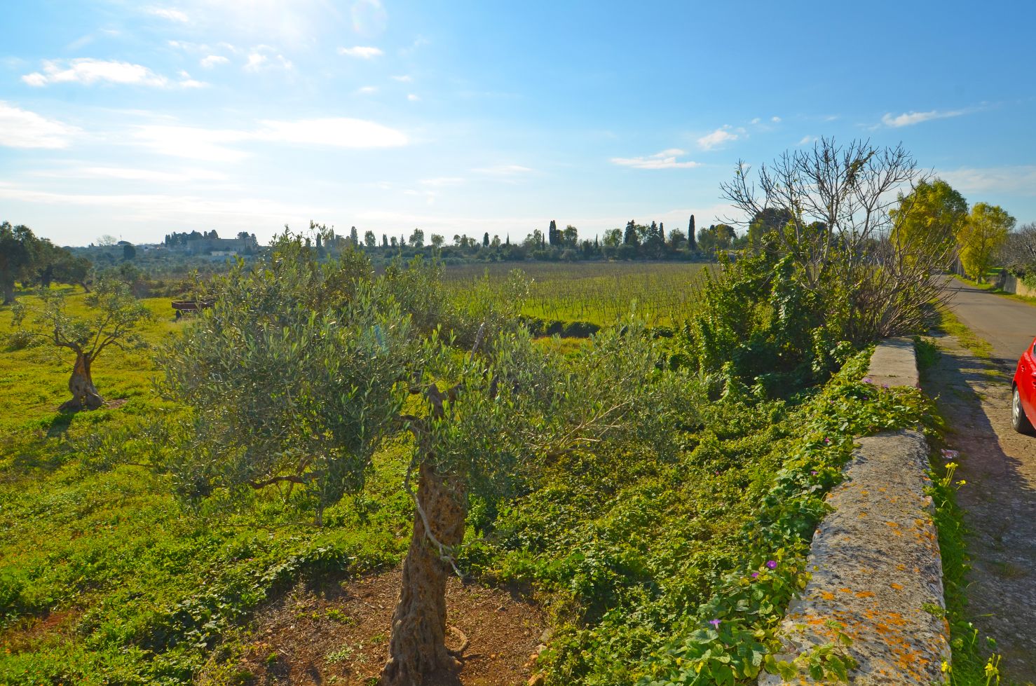 Vista esterna